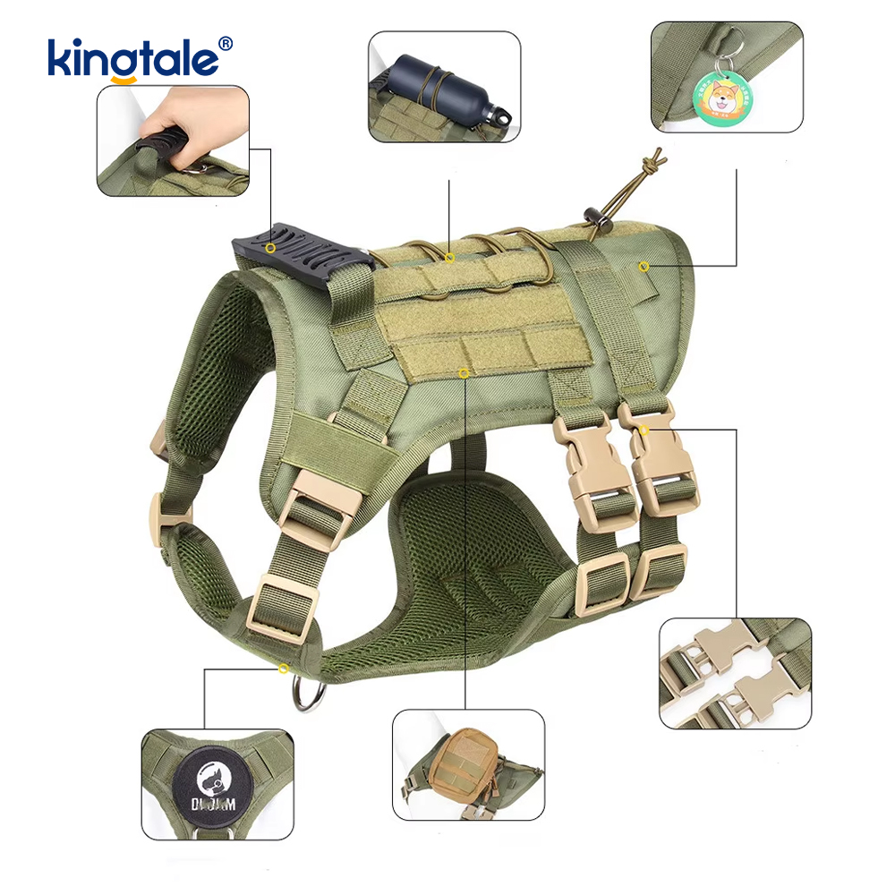 تسخير الكلب العسكري