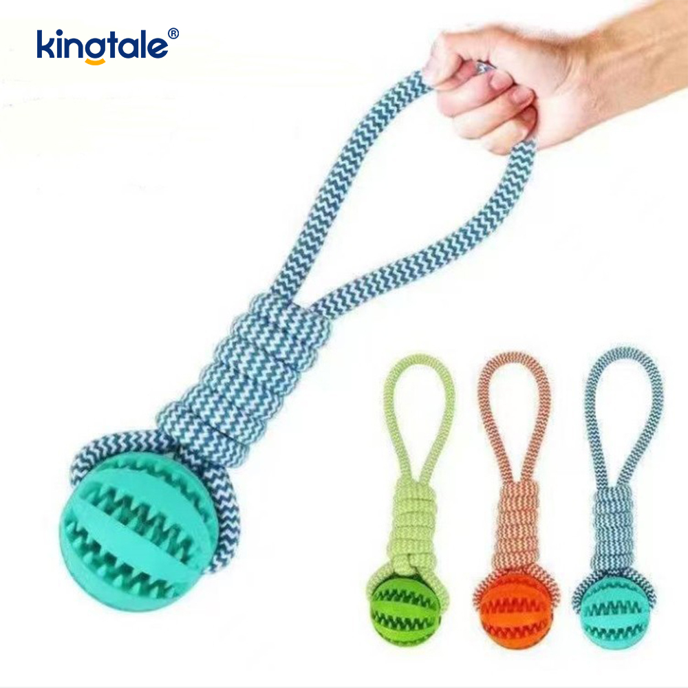 لعبة الكلب كرة مطاطية قابلة للسحب للداخل والخارج لعبة الكلب كرة مطاطية قابلة للسحب للداخل والخارج