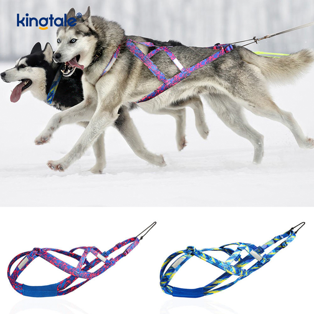 الكلب سحب هاسكي Mushing تسخير X تسخير الظهر للكلاب